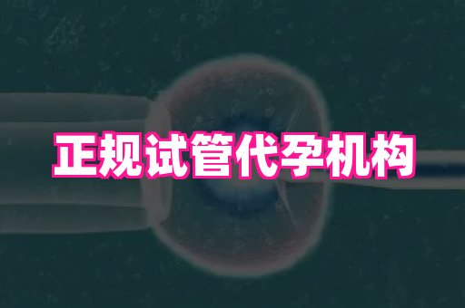 河南助孕网站 1