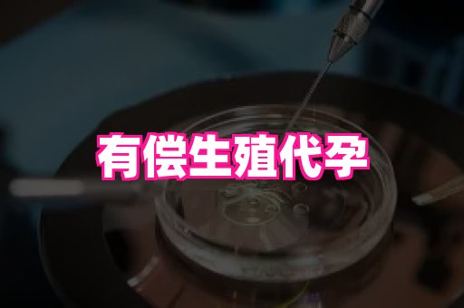 河南助孕网站 2