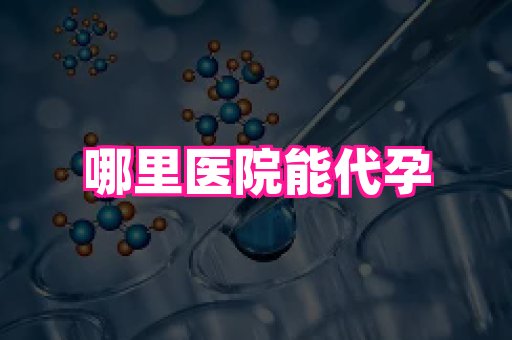 河南助孕网站 3