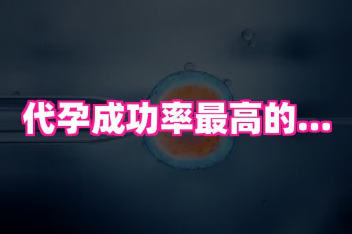 河南助孕网站 4